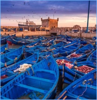Day-trip-from-Marrakech-to-Essaouira Combine trips