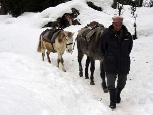 winter-in-morocco-300x225 Traveling in Morocco in winter