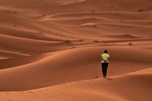 walk-desert-300x200 Wandern