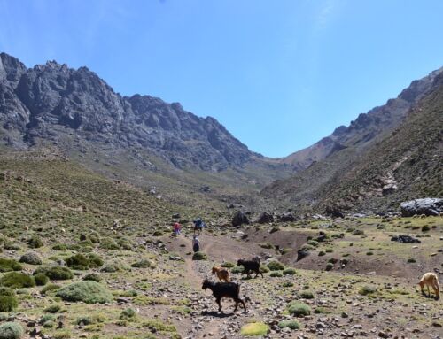 Epic Atlas Mountains Bike Adventure: 10 Days Of Thrills And Exploration