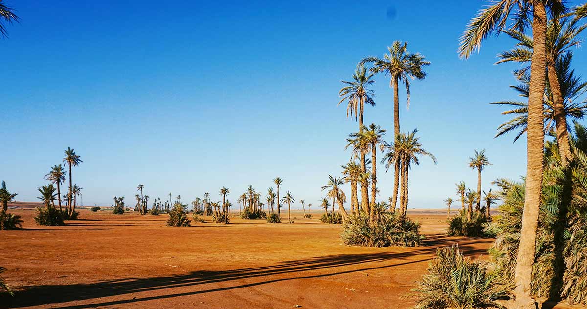Marrakech-tour-desert-tour Marrakech desert tour